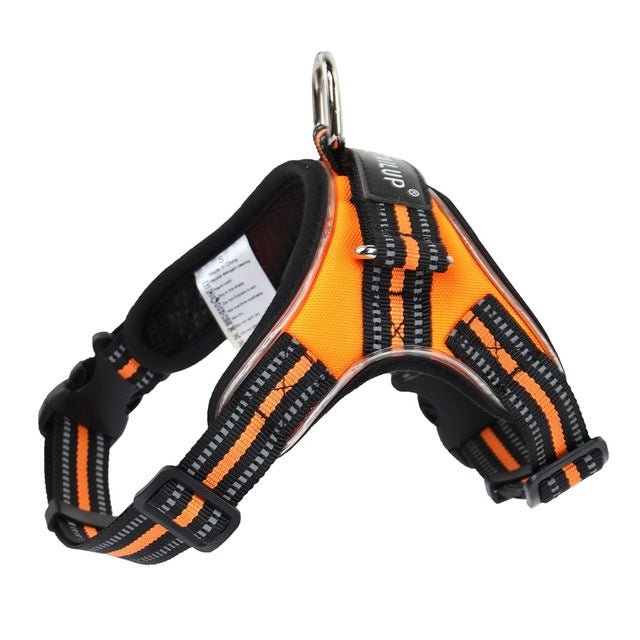 KFX-9485757 LED Glow-in-the-Dark Adjustable Dog Collar with Reflective Strips and Waterproof Design