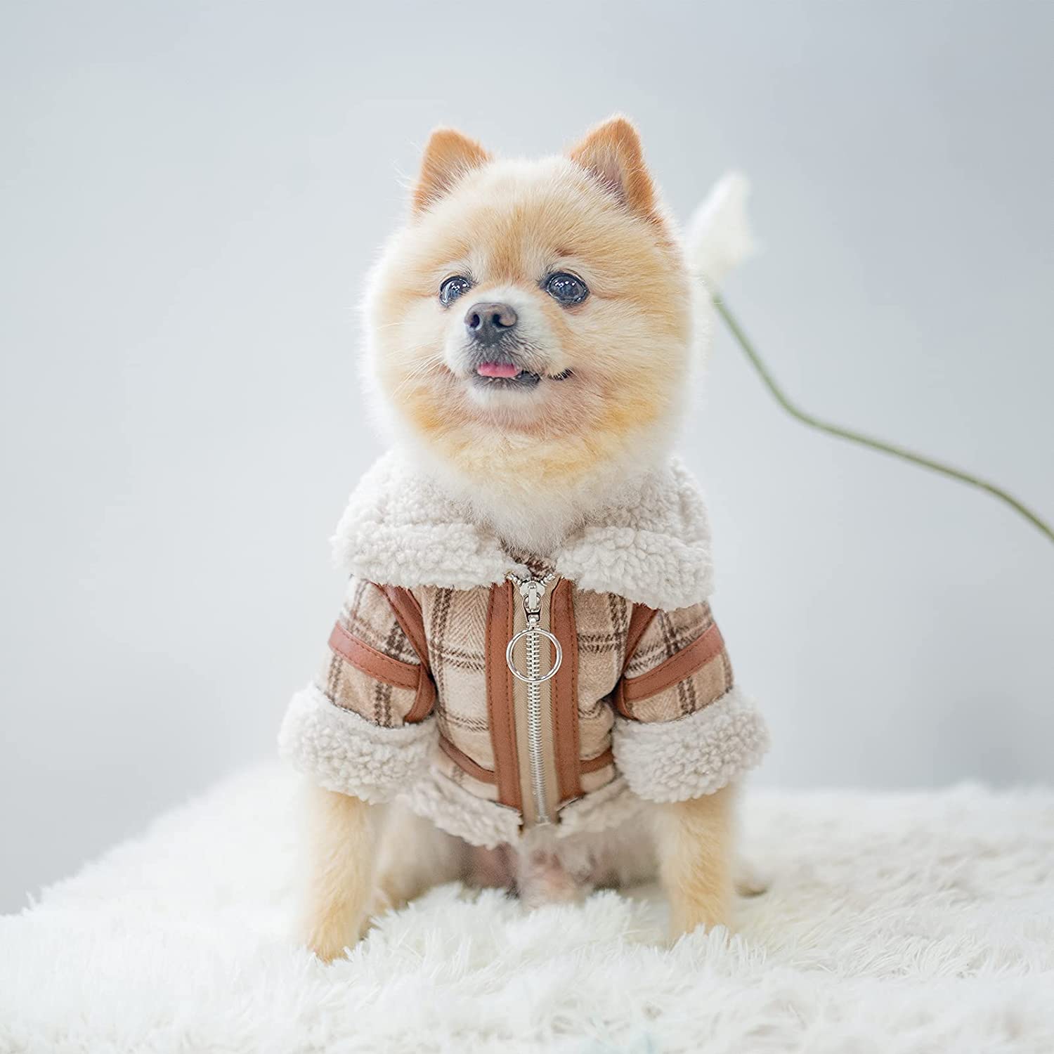 KFX-9491901 Warm Lamb Velvet Plaid Outerwear for Dogs in Blue, Black, and Khaki - Autumn and Winter Styles