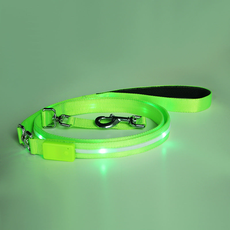 KFX-9497789 Luminous LED USB Charging Pet Leash – Adjustable Nylon Strap in Multiple Colors