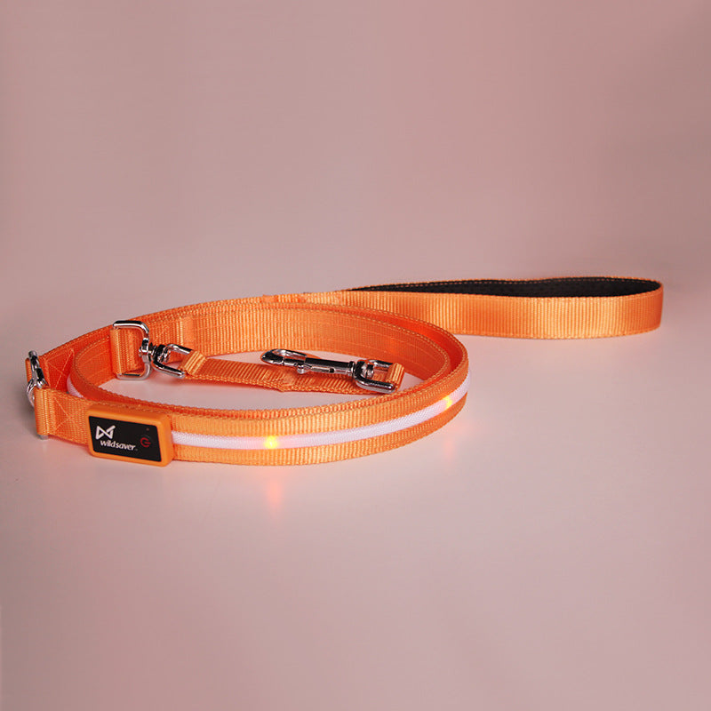 KFX-9497789 Luminous LED USB Charging Pet Leash – Adjustable Nylon Strap in Multiple Colors