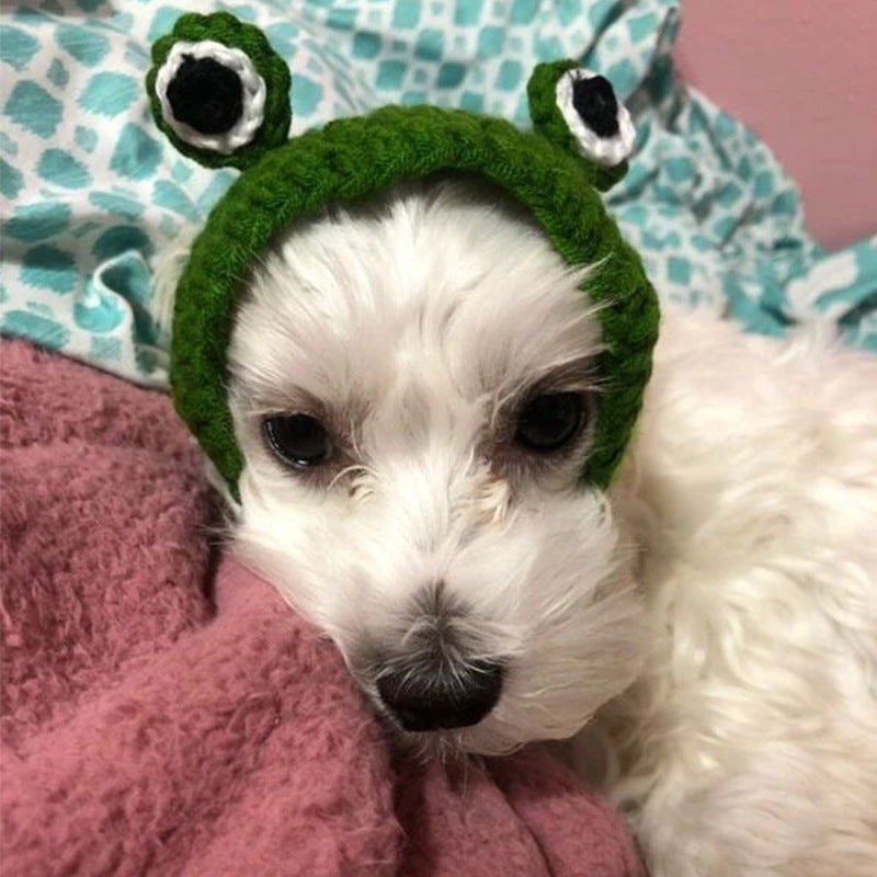 KFX-9502781 Knitted Wool Pet Hat - Cartoon Frog Headdress for Pets, Sizes S & M
