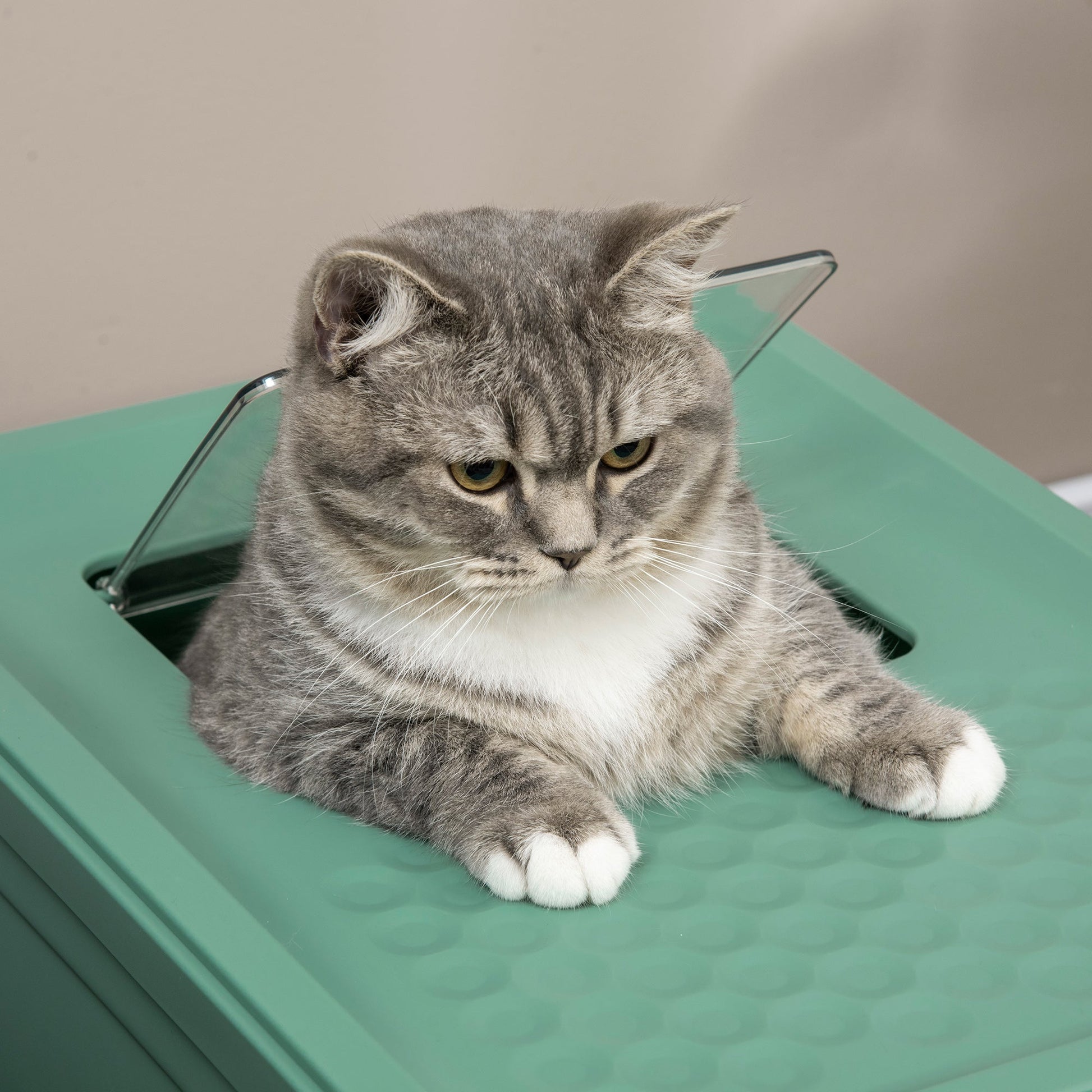 KFX-9514941 Fully Enclosed Cat Litter Box with Top Exit and Pull-Out Tray, Green & White