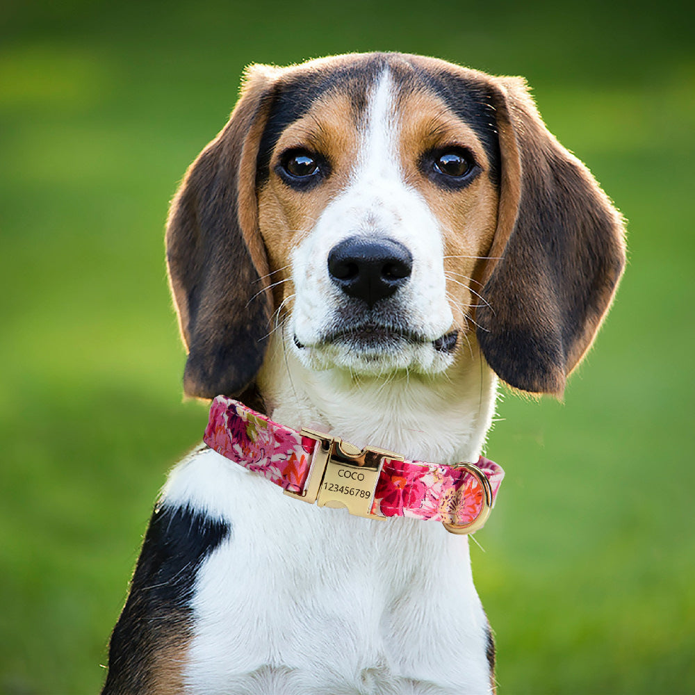 KFX-9515325 Flower Pattern Dog Collar and Leash Set for Medium to Large Dogs