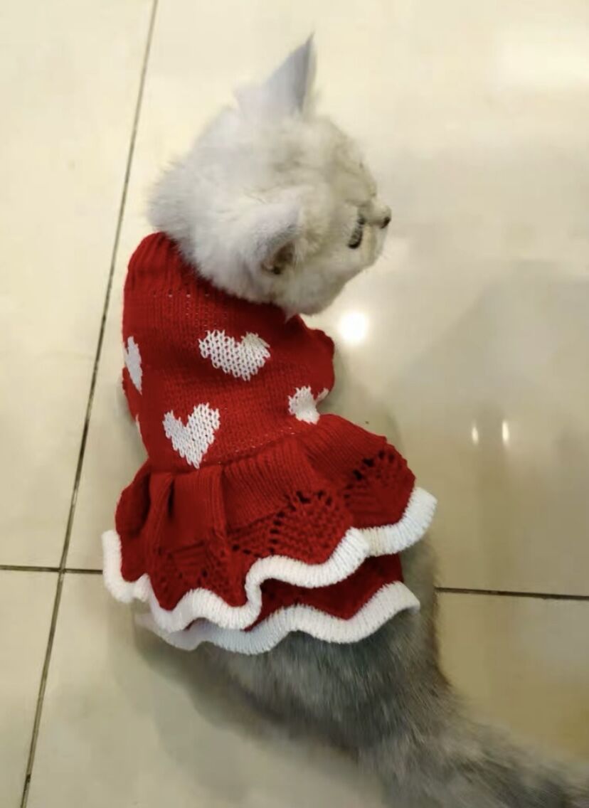KFX-9517245 Warm Red Heart Cake Princess Dress for Small Dogs - Festive Sweater for New Year Celebrations