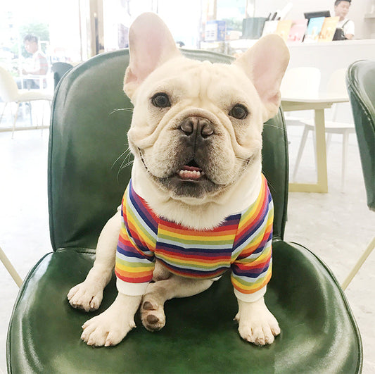 KFX-9523389 Trendy Cotton Dog Sweater in Color Bar for All Sizes