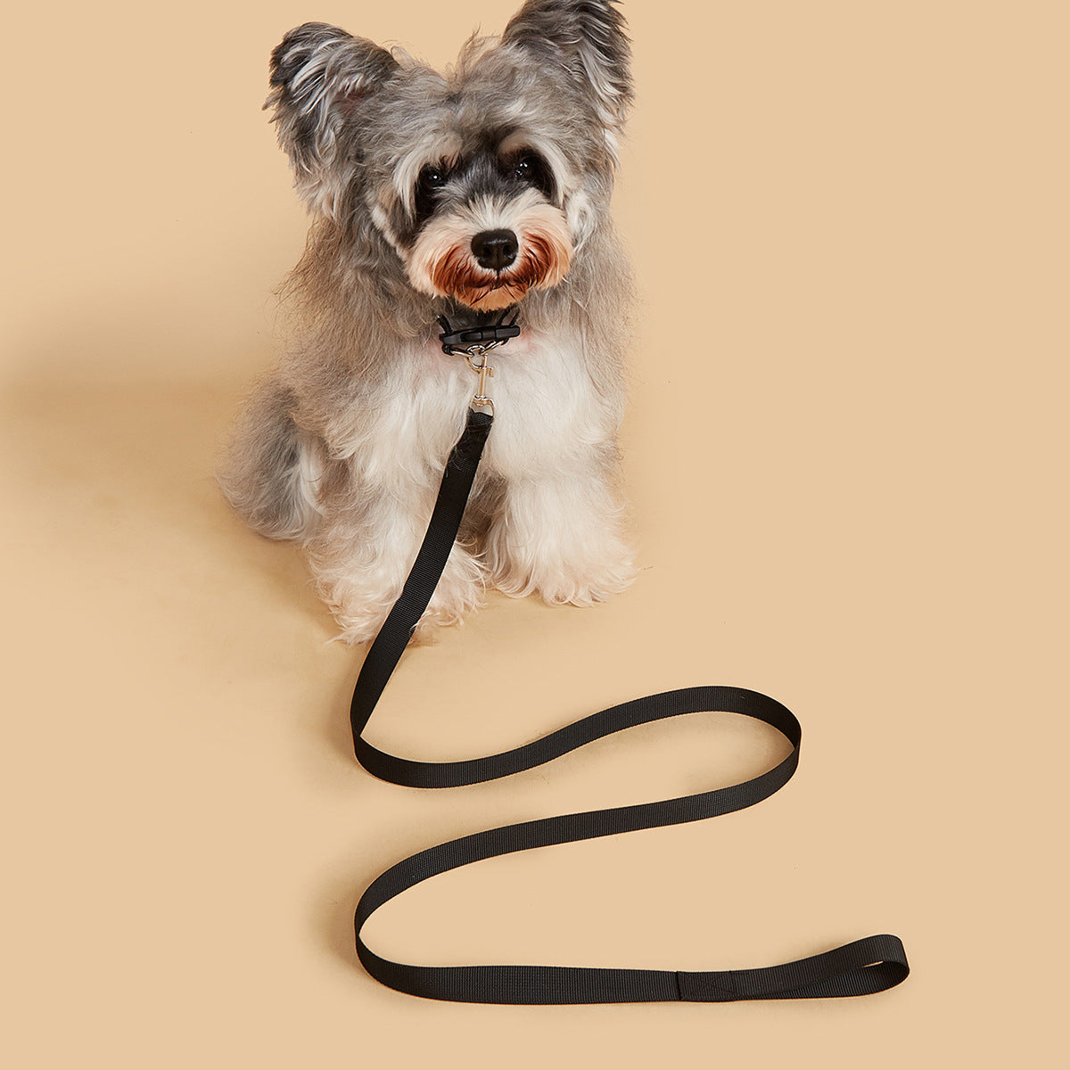 KFX-9524797 Durable Nylon Handheld Dog Leash with Adjustable Collar in Various Colors