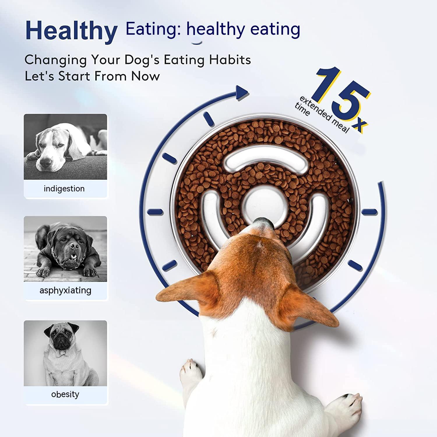 KFX-9525181 Stainless Steel Pet Slow Feeding Bowl with Neck Protector
