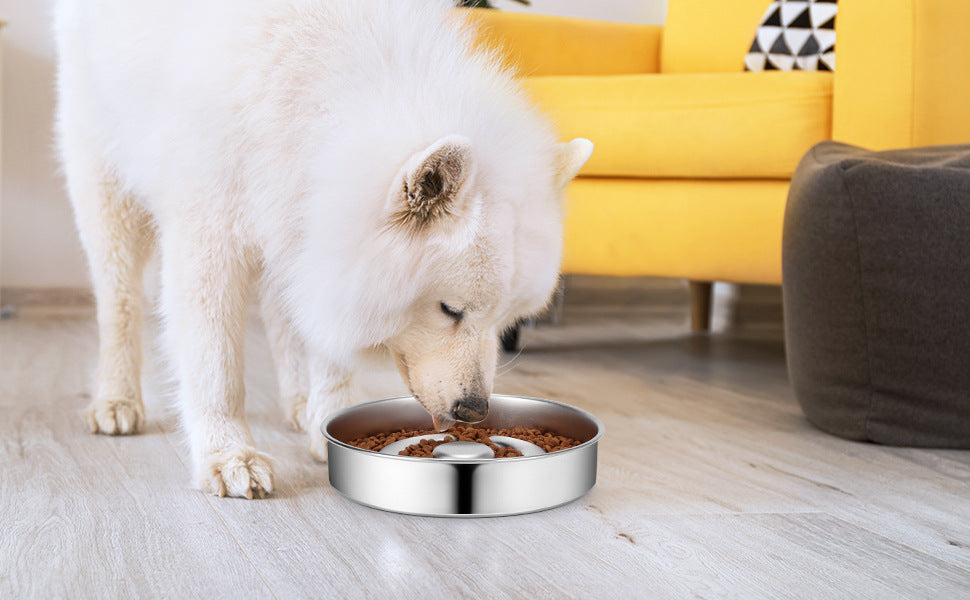 KFX-9525181 Stainless Steel Pet Slow Feeding Bowl with Neck Protector