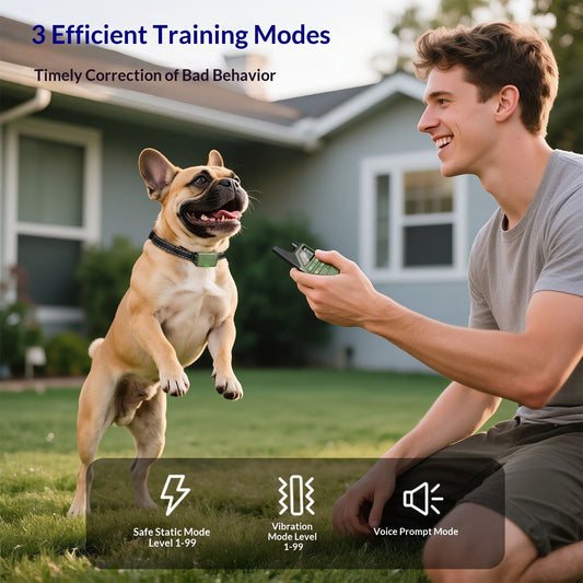 KFX-9525821 Remote Control Anti-Bark Training Collar for Dogs - One or Two Units with Controller