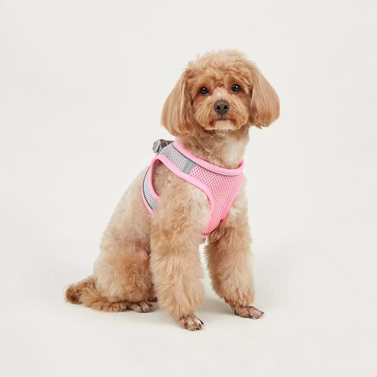 KFX-9527613 Breathable Polyester Dog Leash with Chest Strap for Small Breeds