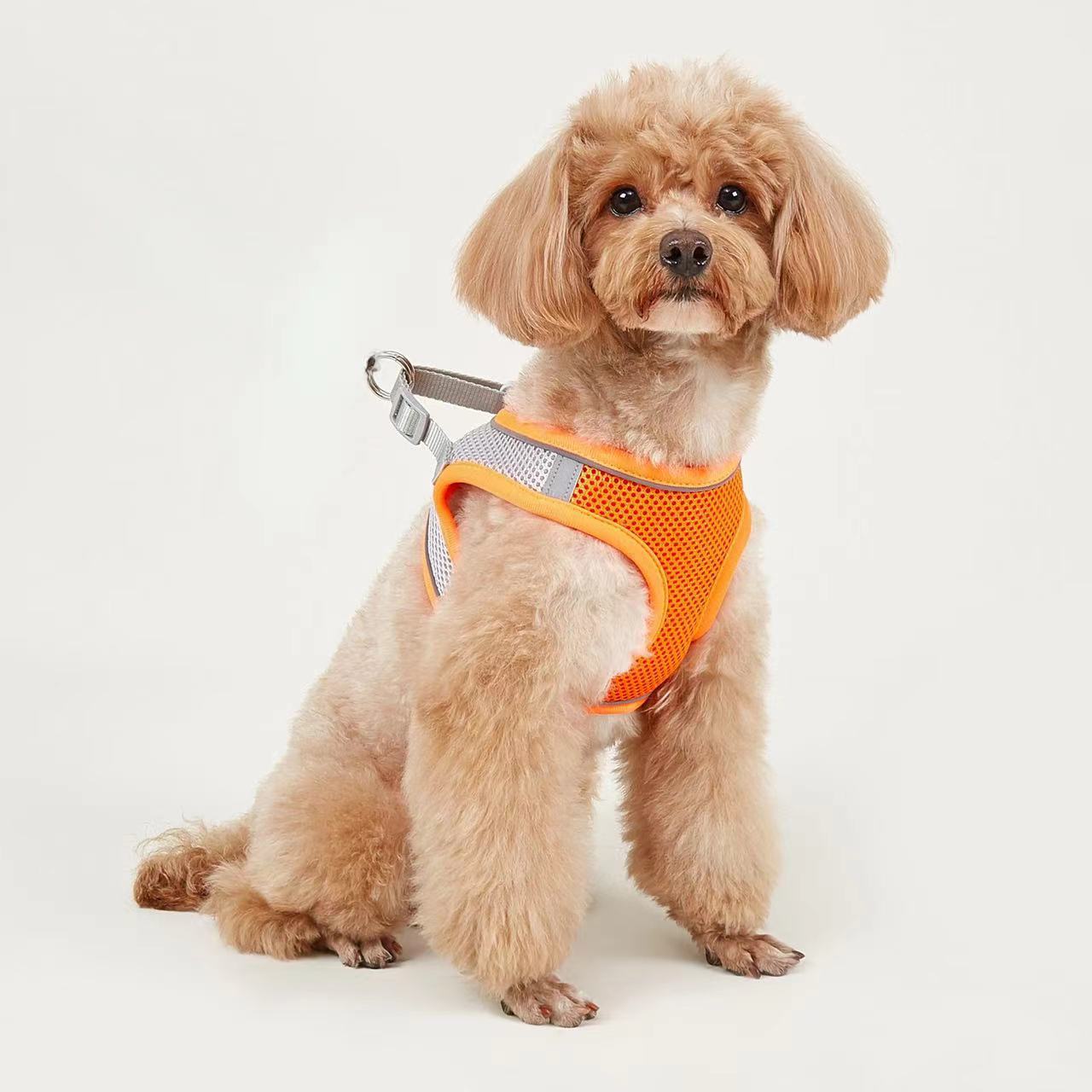 KFX-9527613 Breathable Polyester Dog Leash with Chest Strap for Small Breeds