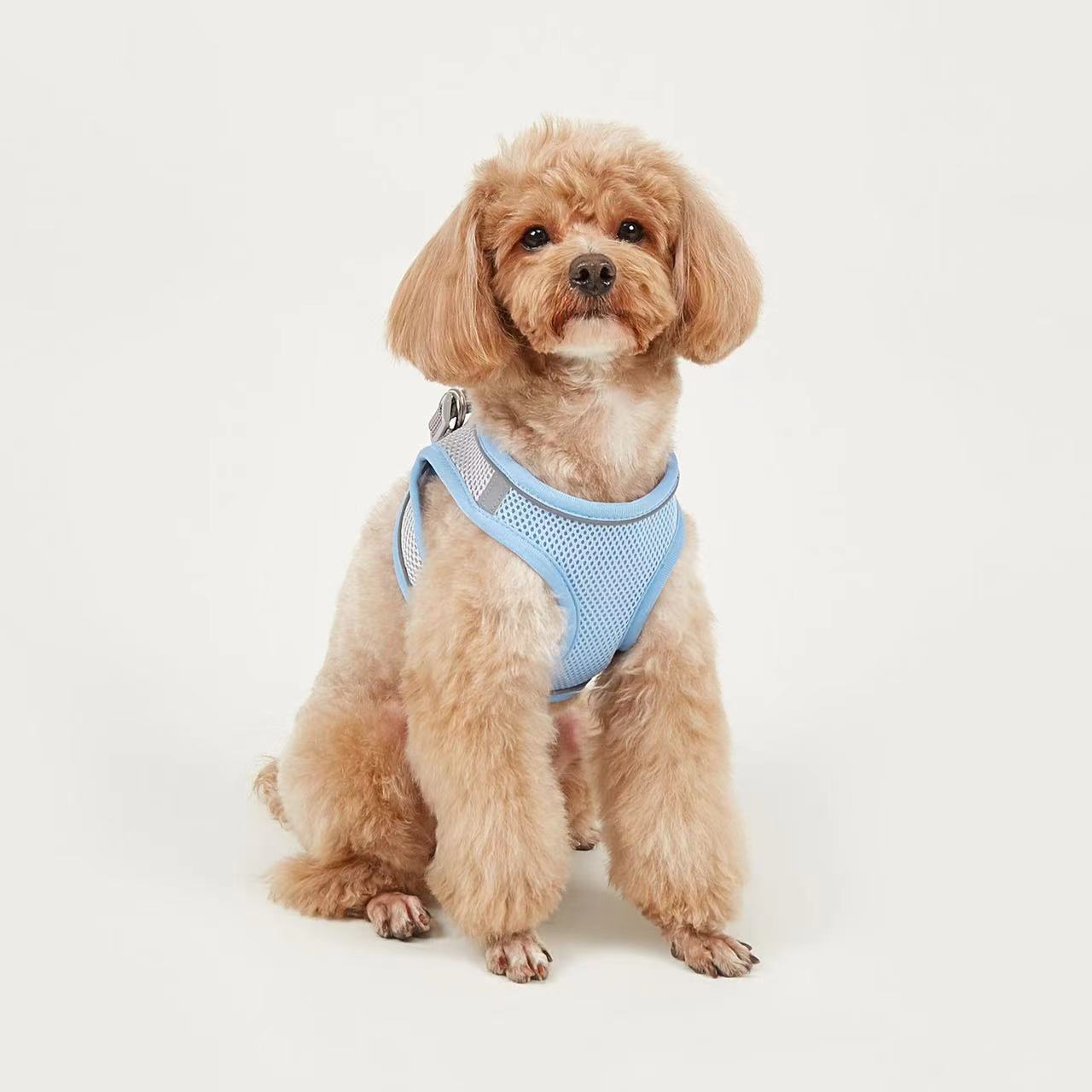 KFX-9527613 Breathable Polyester Dog Leash with Chest Strap for Small Breeds