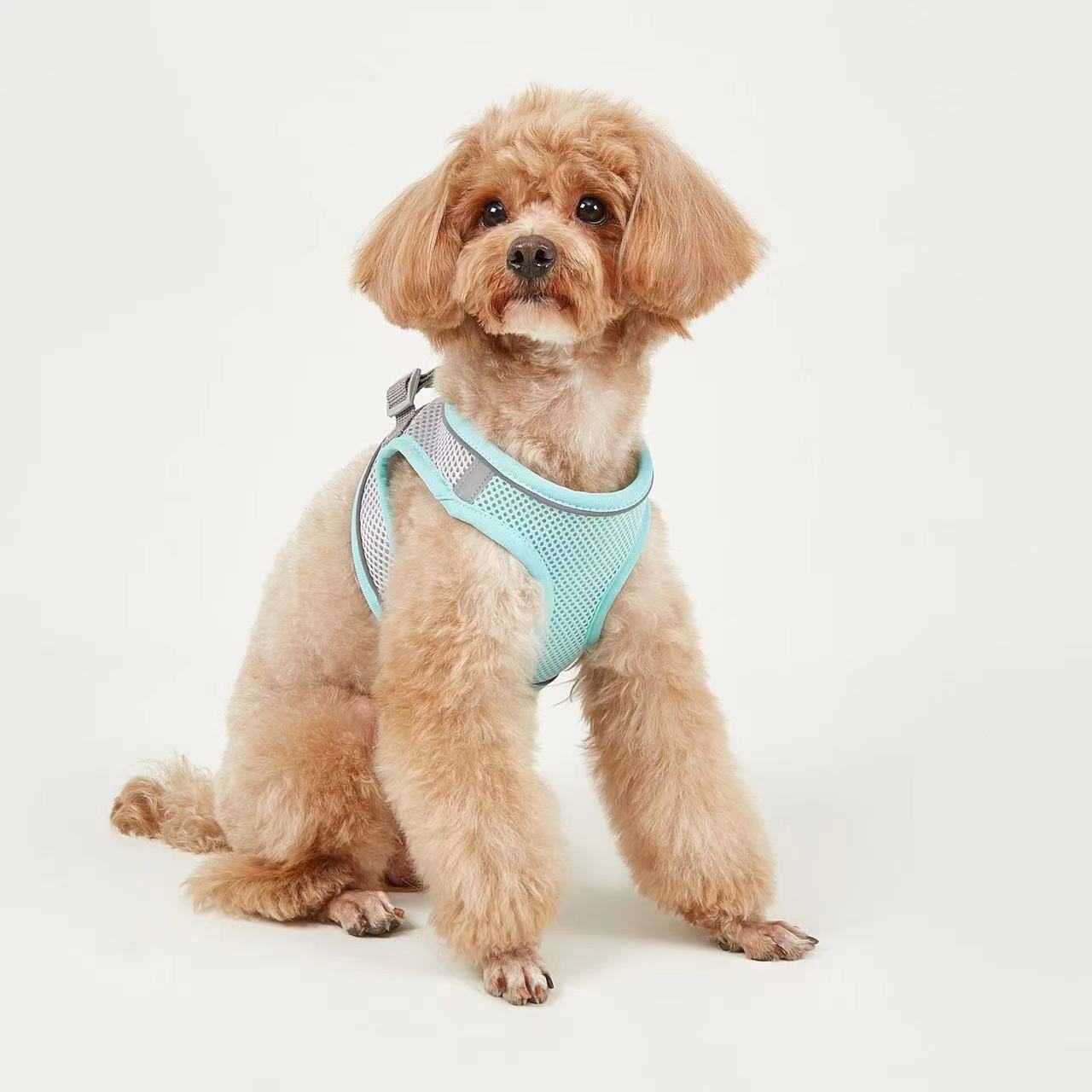 KFX-9527613 Breathable Polyester Dog Leash with Chest Strap for Small Breeds