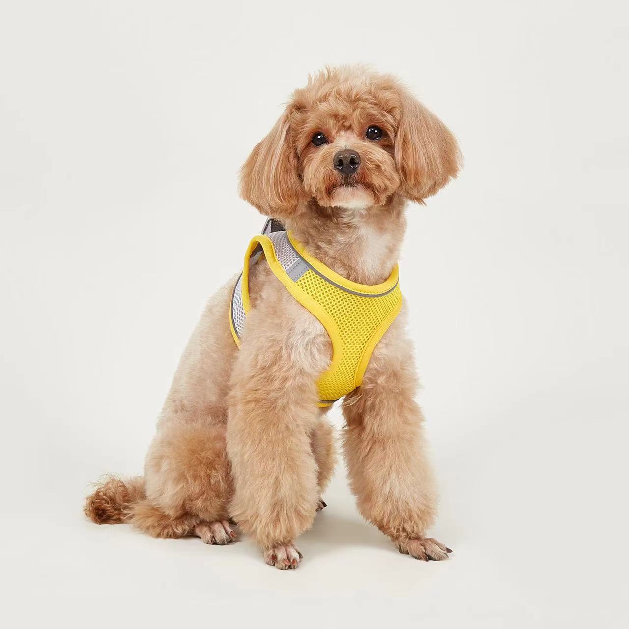 KFX-9527613 Breathable Polyester Dog Leash with Chest Strap for Small Breeds