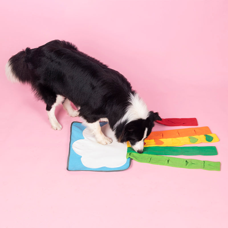 KFX-9528253 Interactive Snuffle Mat for Dogs - Enrichment Feeding Puzzle Toy for Natural Foraging Skills and Stress Relief