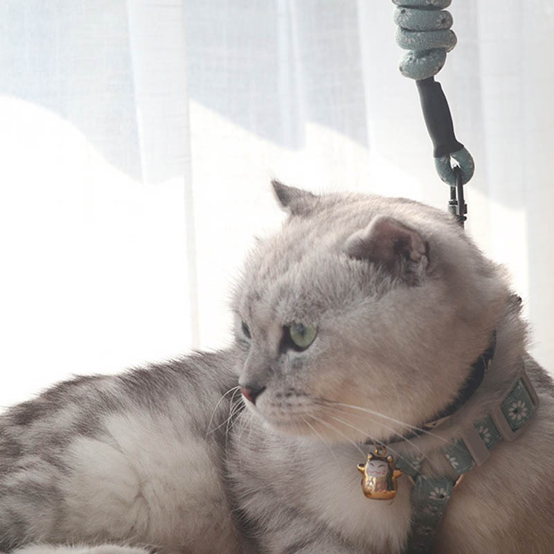 KFX-9530557 Anti-stroke Cat Leash with Floral Design - Cotton, Available in S, M, L Sizes