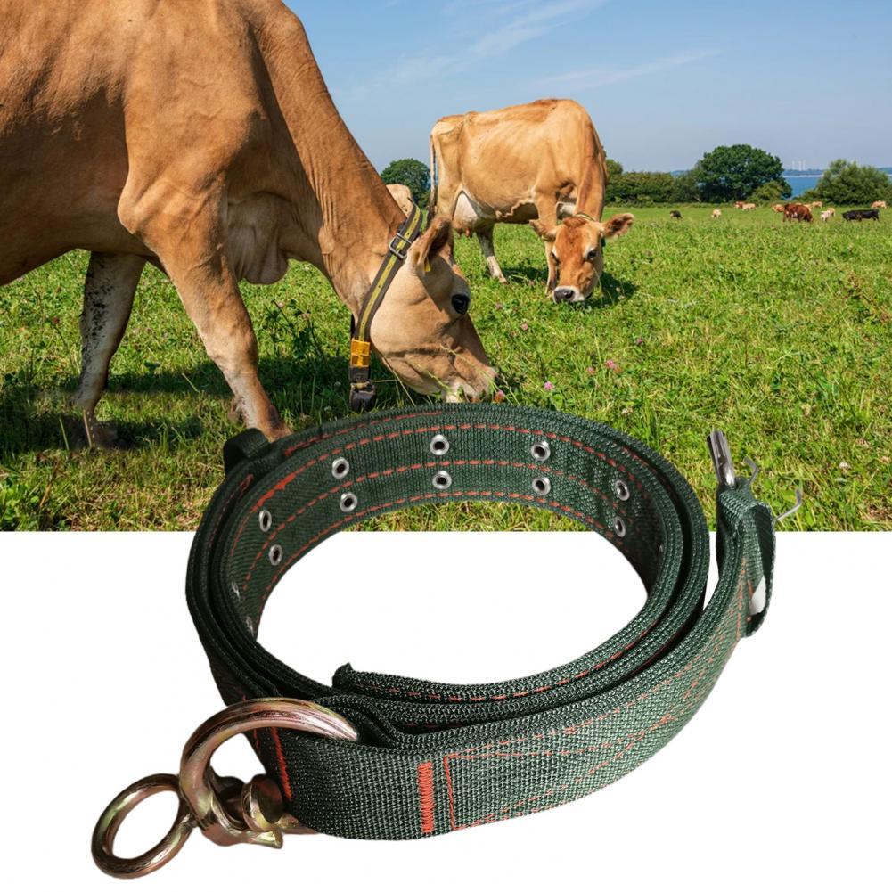 KFX-9532733 Thickened Four-Layer Nylon Bullneck Cover in Green