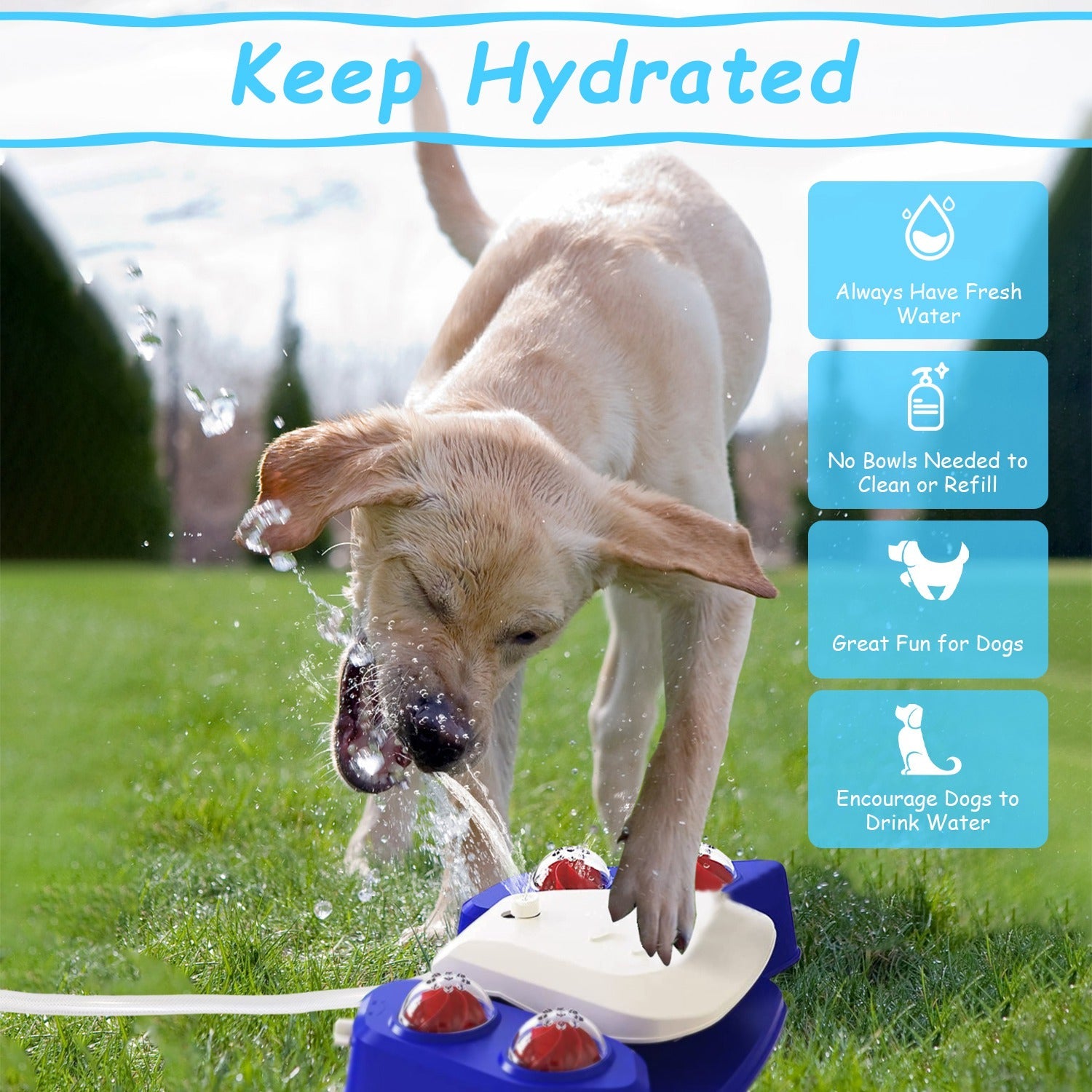 KFX-9536573 Multifunctional Automatic Dog Water Fountain with Sprinkler and Shower Balls for Drinking and Playtime
