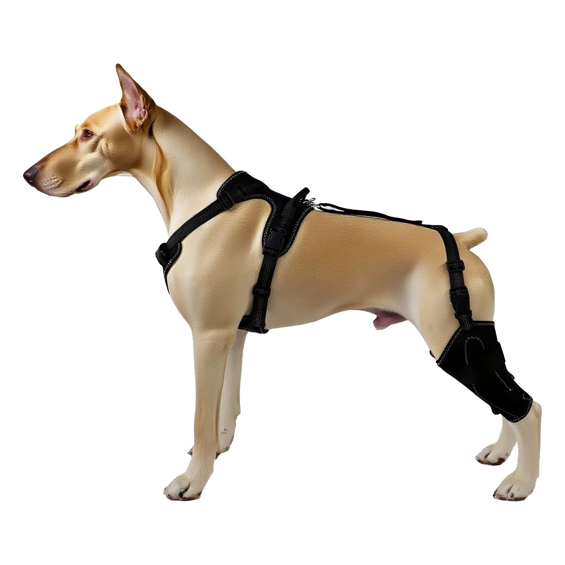 KFX-9540285 Pet Leg and Joint Protection Sleeves in Black - Casual Diving Fabric for Dogs, Available in M, L, XL