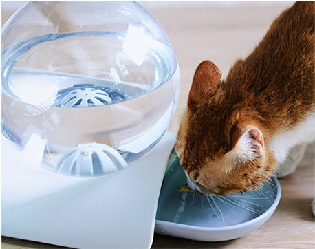 KFX-9542333 Non-Wet Mouth Water Dispenser for Cats - 2.8L Capacity with Compact Design and Dust-Proof Bowl