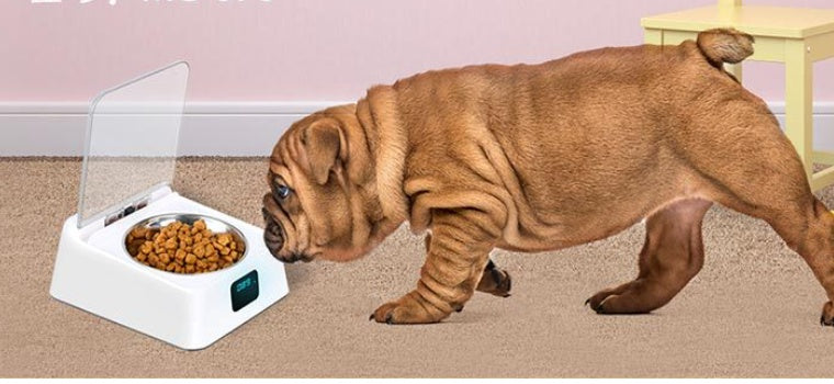 KFX-9542461 Automatic Pet Feeder with 5G Connectivity - Convenient Smart Feeding Solution