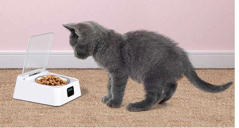 KFX-9542461 Automatic Pet Feeder with 5G Connectivity - Convenient Smart Feeding Solution