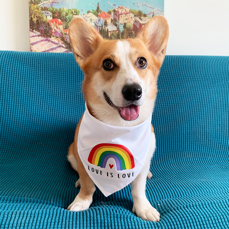 KFX-9543869 Rainbow Triangle Scarf for Dogs - Stylish Cotton Saliva Towel in White