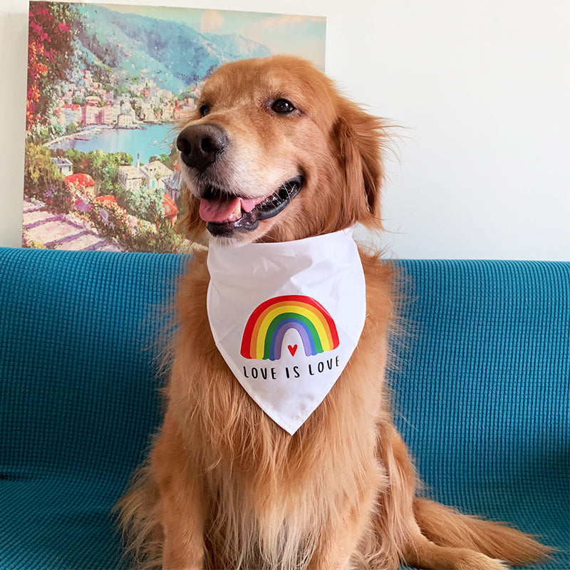 KFX-9543869 Rainbow Triangle Scarf for Dogs - Stylish Cotton Saliva Towel in White