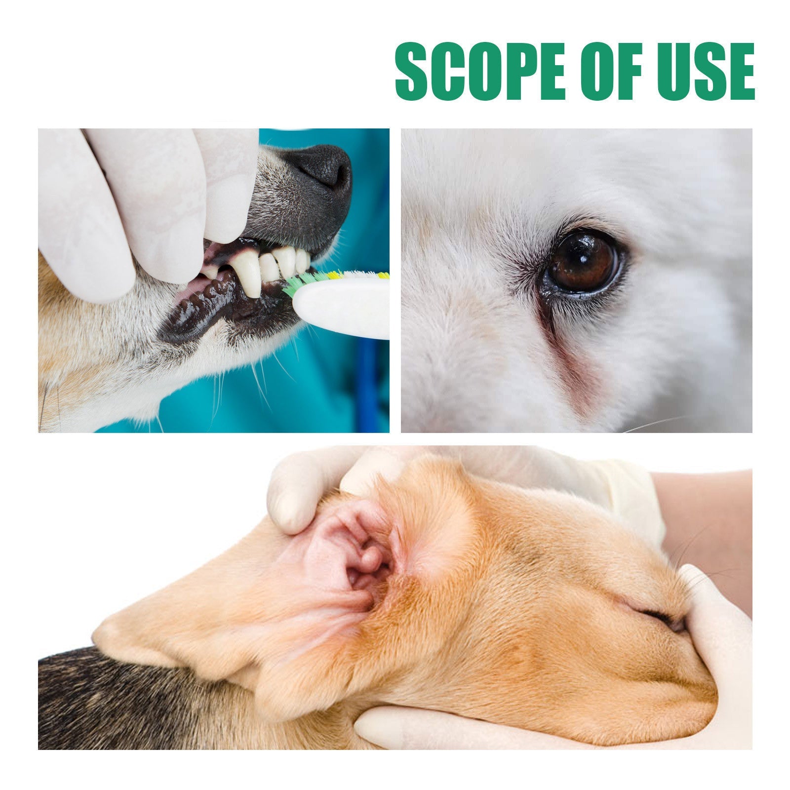 KFX-9544125 Pet Dental Cleaning Finger Stall - 20 Antibacterial Tooth Covers for Fresh Breath and Gum Care