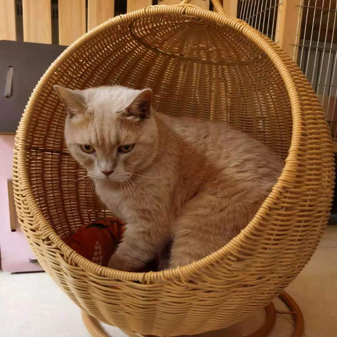 KFX-9552061 Breathable Rattan Cat Mattress Cradle for Large Pets - Orange/Blue Mat