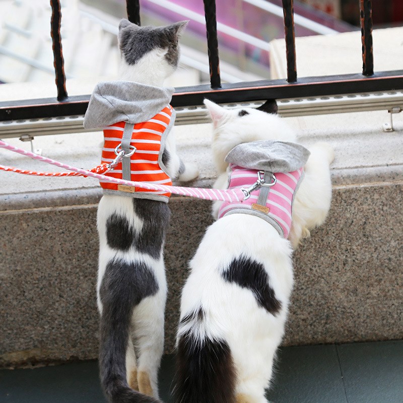 KFX-9557053 Cat Hooded Vest Harness and Leash Set for Outdoor Adventures, Adjustable XS/S, Cotton & Oxford Cloth, Pink & Orange
