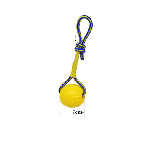 KFX-9564349 Interactive Dog Training Accessories Set with Clicker, Whistle, Frisbees, and Balls