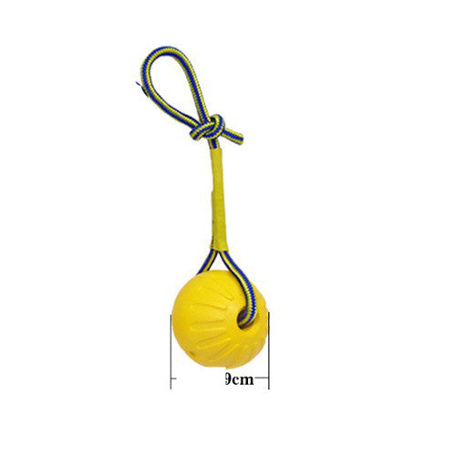 KFX-9564349 Interactive Dog Training Accessories Set with Clicker, Whistle, Frisbees, and Balls