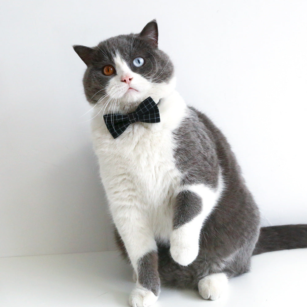 KFX-9565757 Doctor's Degree Pet Hair Band with Bow Tie – Adjustable Elastic Woolen Felt Accessory for Dogs and Cats