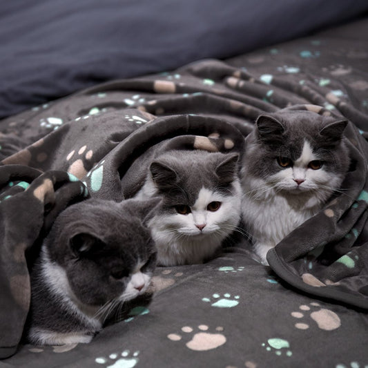 KFX-9570109 Thick Flannel Pet Blanket for Dogs and Cats, Multiple Sizes Available