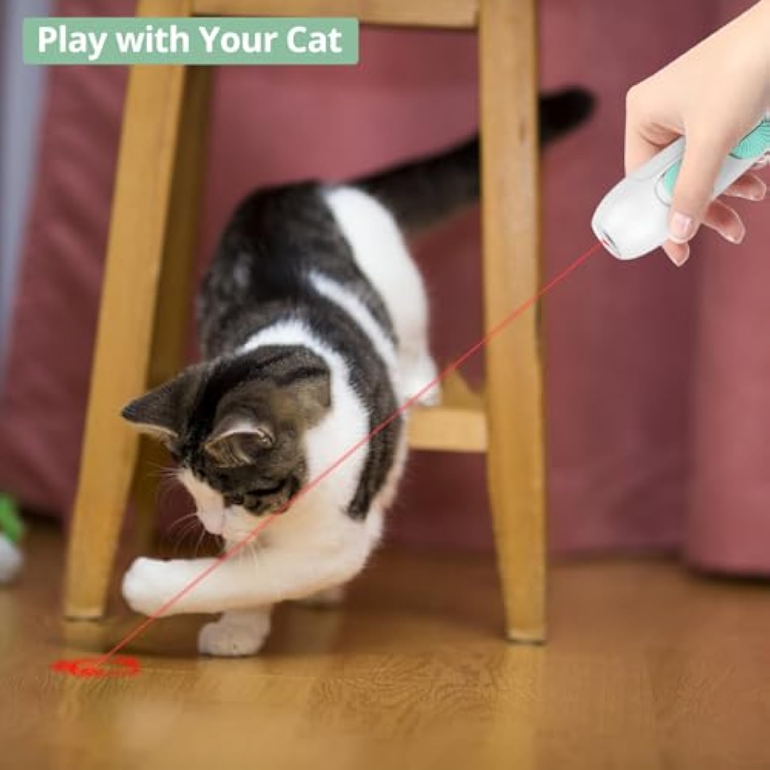KFX-9570749 Interactive Rechargeable Laser Pointer Cat Wand with Feather Toy - 2-in-1 Indoor Play for Cats and Kittens