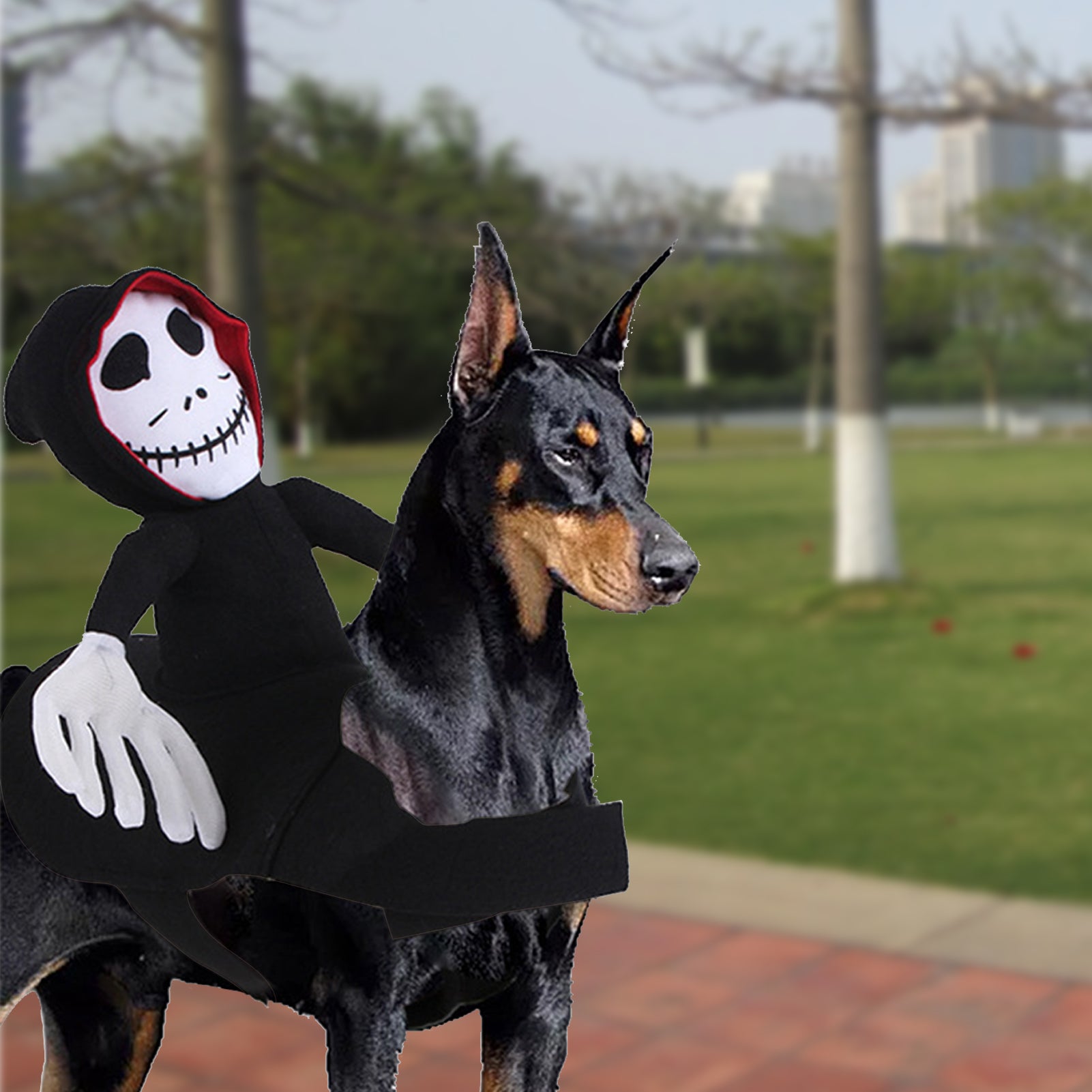 KFX-9573437 Pet Halloween Costume - Spider Pumpkin Vest for Dogs and Cats - Comfortable and Easy to Wear for Halloween Parties
