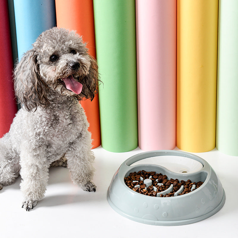 KFX-9575229 Anti-Choke Pet Bowl and Drinking Basin for Cats and Dogs - Eco-Friendly Material, 24CM Diameter
