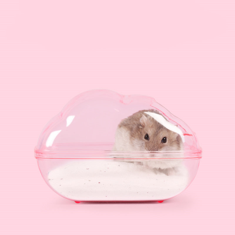 KFX-9576893 Dual-Purpose Cloud-Shaped Hamster Bathtub with Splash-Proof Design and Transparent View