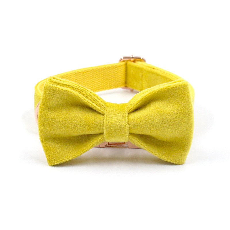KFX-9577021 Yellow Velvet Dog Collar with Engraved Rose Gold Buckle and Bow Tie