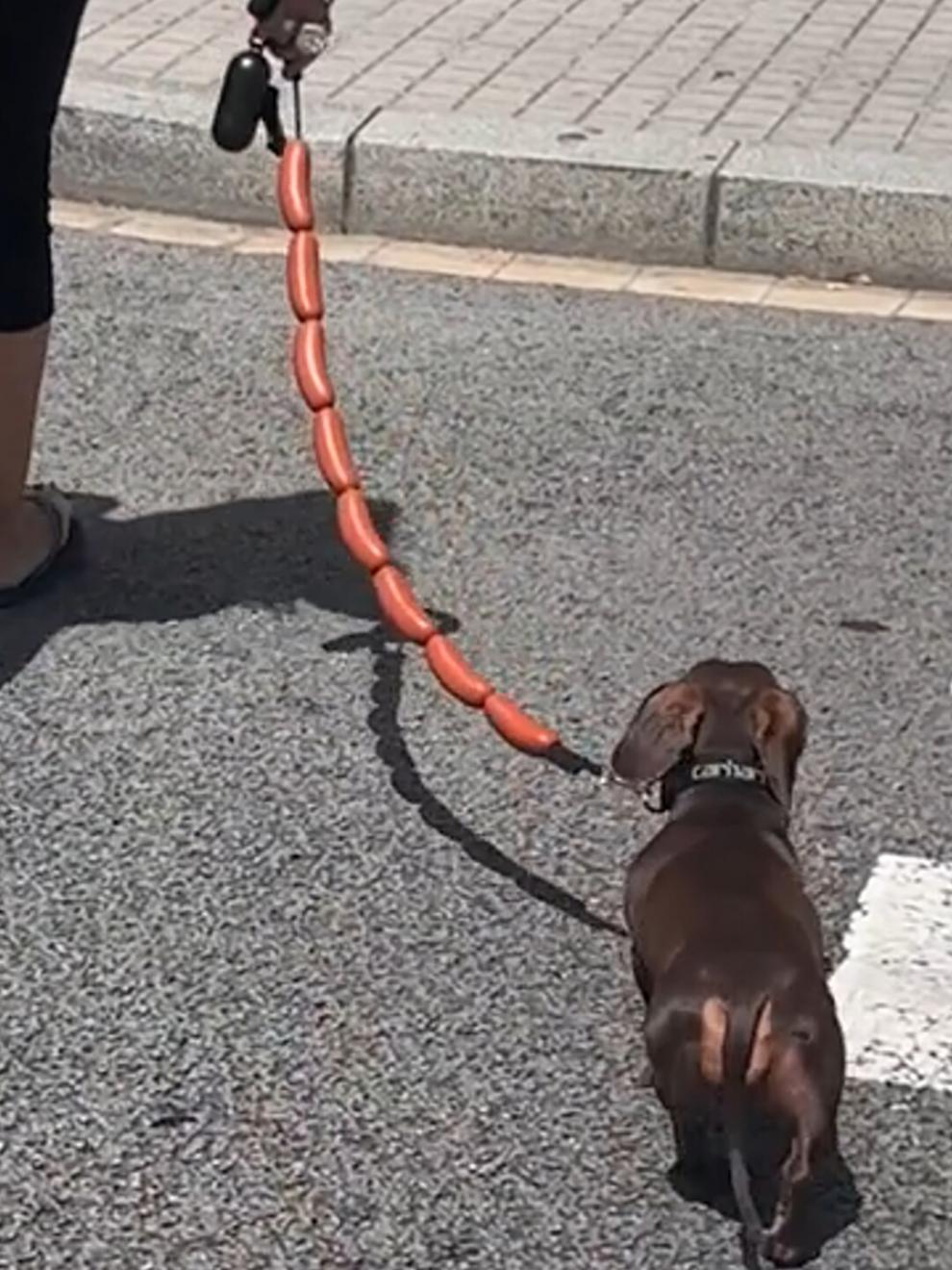 KFX-9578813 Thick Dog Traction Chain with Funny Sausage Design for Small and Medium Pets