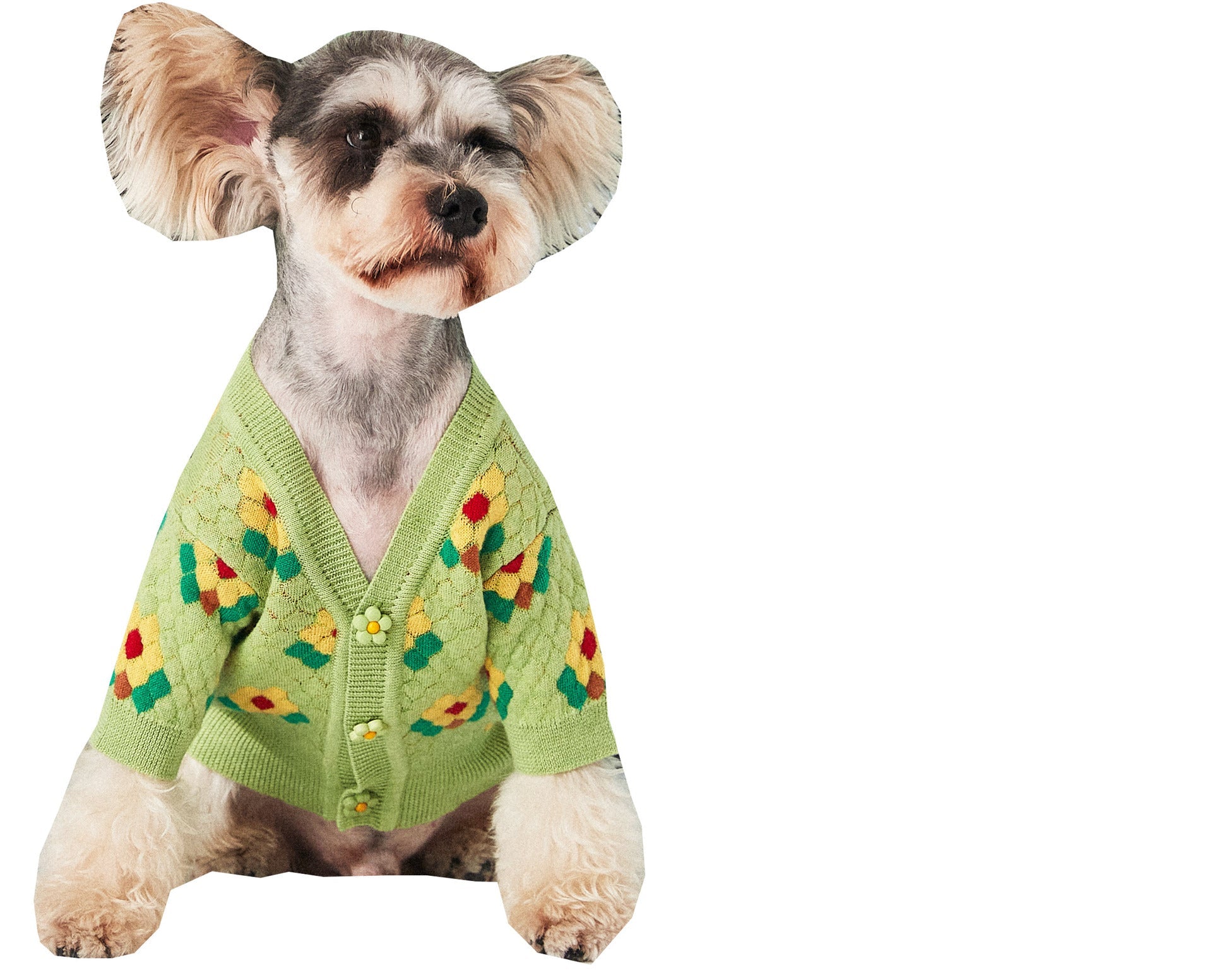 KFX-9588541 Small Flower Dog Sweater Cardigan in Blue and Green, Wool Material, XS-XXL Sizes Available