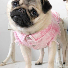 KFX-9590205 Stylish Washed Denim Jacket for Pets in Denim Blue and Cowboy Pink - Multiple Sizes Available