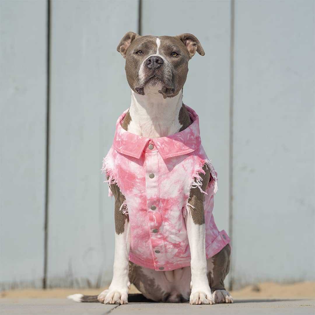 KFX-9590205 Stylish Washed Denim Jacket for Pets in Denim Blue and Cowboy Pink - Multiple Sizes Available