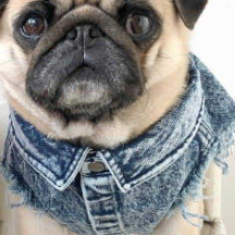 KFX-9590205 Stylish Washed Denim Jacket for Pets in Denim Blue and Cowboy Pink - Multiple Sizes Available