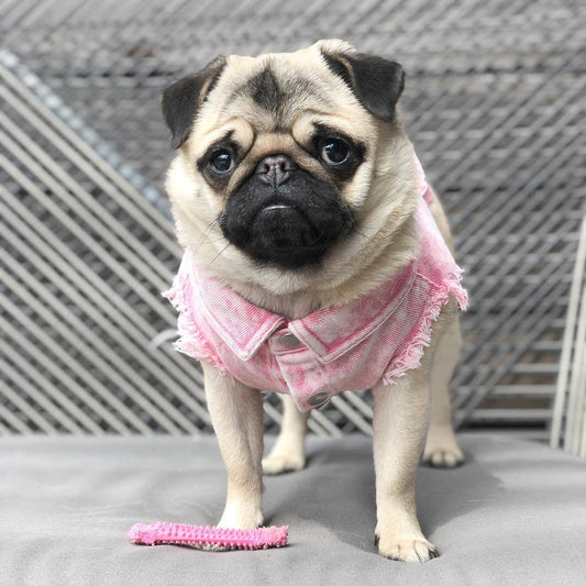 KFX-9590205 Stylish Washed Denim Jacket for Pets in Denim Blue and Cowboy Pink - Multiple Sizes Available