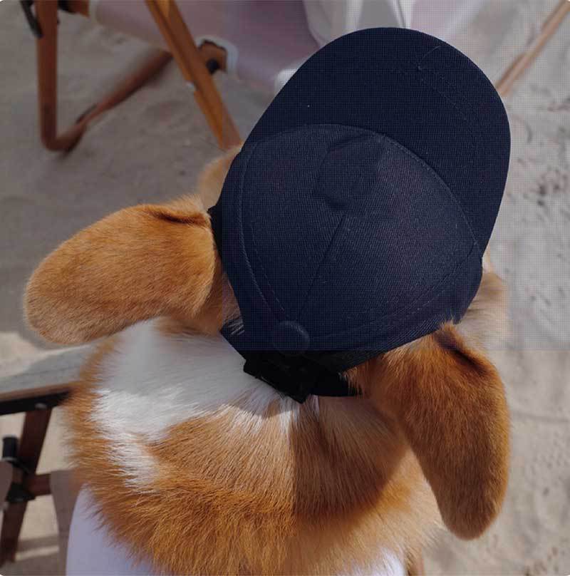 KFX-9601085 Adjustable Sun-Proof Pet Baseball Cap for Exposed Ears - Apricot, Blue, Milk Blue, Purple, Black