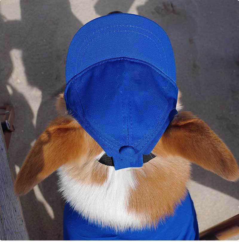 KFX-9601085 Adjustable Sun-Proof Pet Baseball Cap for Exposed Ears - Apricot, Blue, Milk Blue, Purple, Black