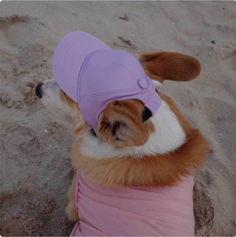KFX-9601085 Adjustable Sun-Proof Pet Baseball Cap for Exposed Ears - Apricot, Blue, Milk Blue, Purple, Black