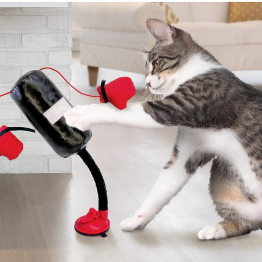 KFX-9609277 Interactive Cat Punching Bag Toy with Gloves for Active Indoor Play and Exercise